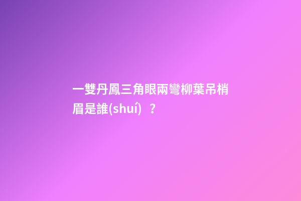 一雙丹鳳三角眼兩彎柳葉吊梢眉是誰(shuí)？